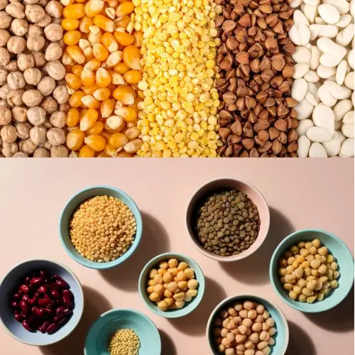 Legumes