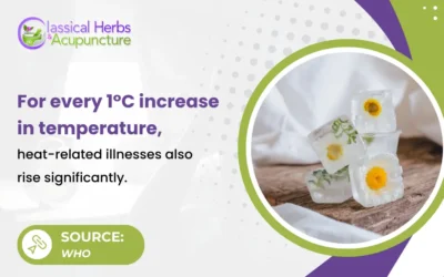 Cooling Herbs to Help You Stay Comfortable During Hot Weather
