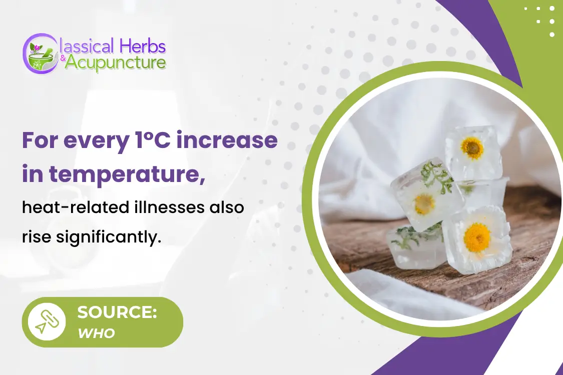 Cooling Herbs to Help You Stay Comfortable During Hot Weather Cooling Herbs to Help You Stay Comfortable During Hot Weather